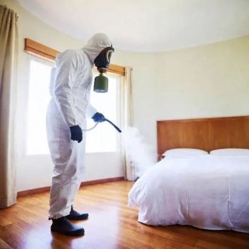 Bed Bugs Control