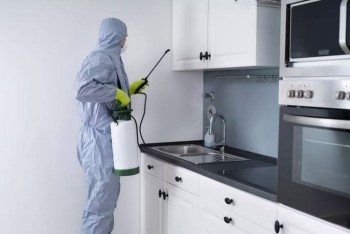 Pest Fumigation