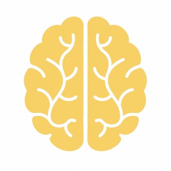 Looking for a Psychologist in Dubai? Expert Therapy at BrainHub