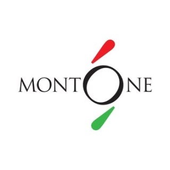 Buy Mojito Syrup from Montone