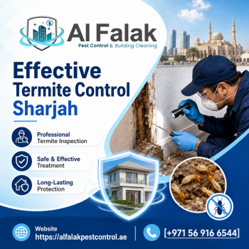 Effective Termite Control Services in Sharjah by Al Falak – Call +971 56 916 6544 Today