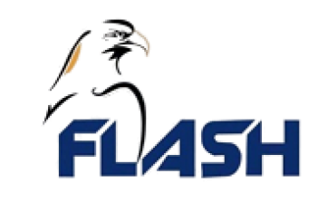 Flash logo Conveyor Systems & Material Handling Solutions UAE