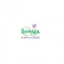Sonya Flowers - avatar