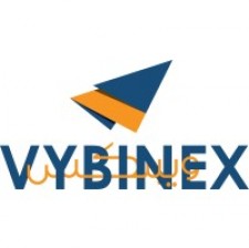 Vybinex - avatar