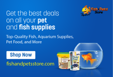 Fish and Pets Store - avatar