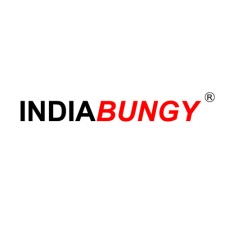 indiabungy - avatar