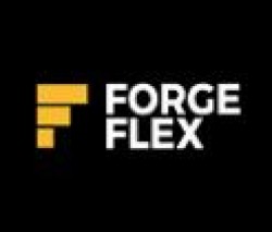 ForgeFlex - avatar
