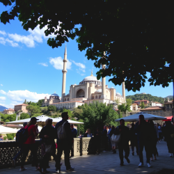 joshpom peter - avatar