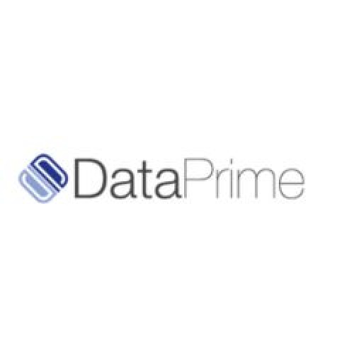 Data Prime Solutions - avatar