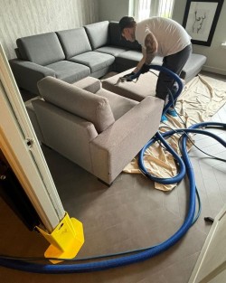Rug clean - avatar