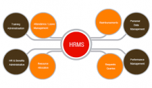 HRMS UAE - avatar
